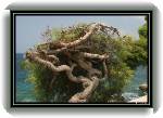 DuCavtat17 * 860 x 592 * (122KB)