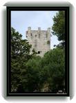 Mljet11 * 417 x 600 * (54KB)