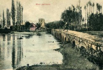 Perinusa 1905