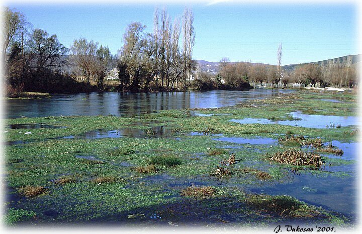 River Vrljika